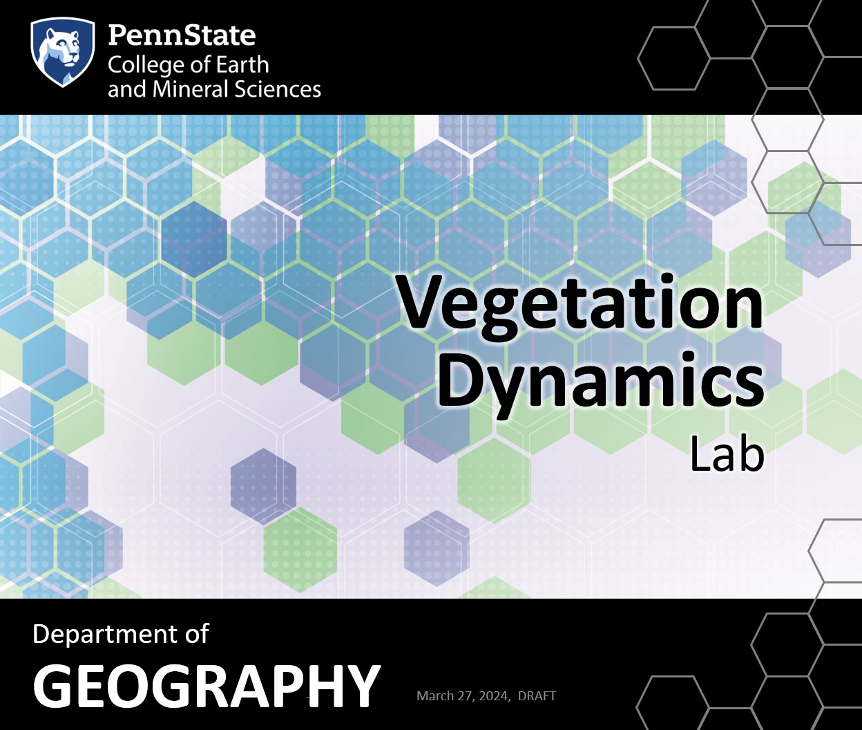 Vegetation Dynamics