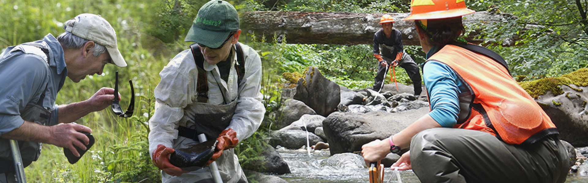 Research in the field