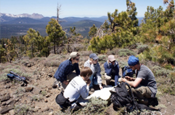 Students in field