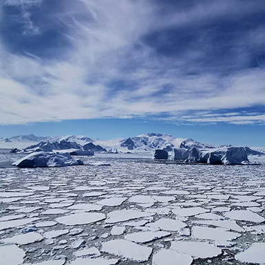 icecaps melting