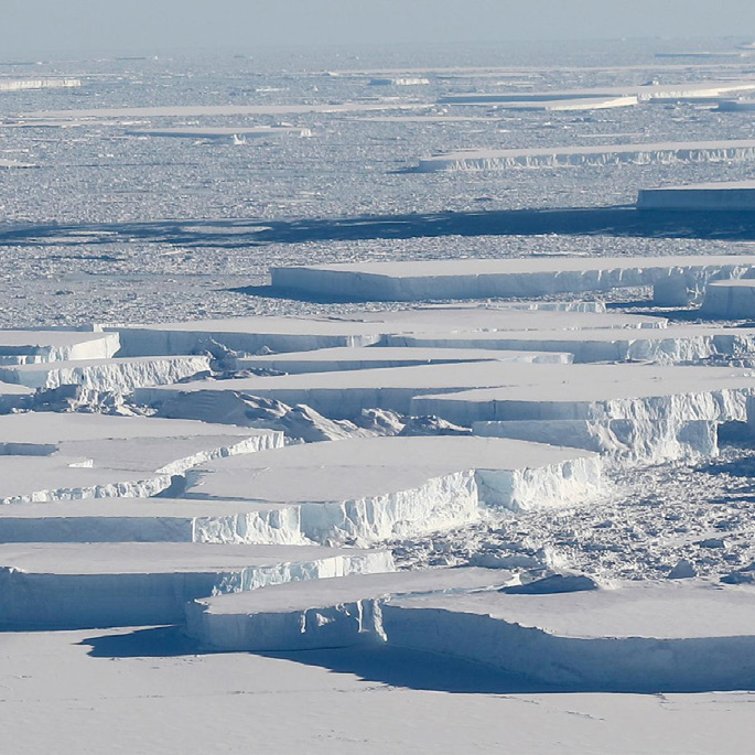 polar icecaps melting