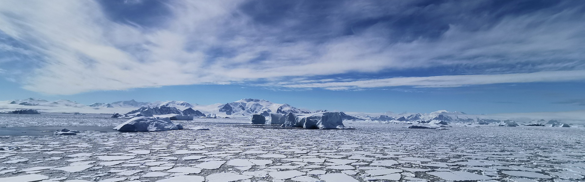 Research Sea Ice