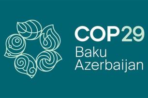 COP29