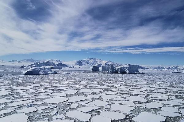 Arctic sea ice