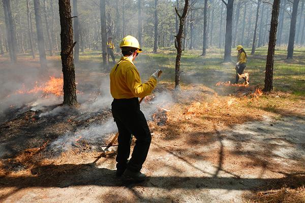 Prescribed fire