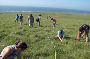 Vegetative sampling